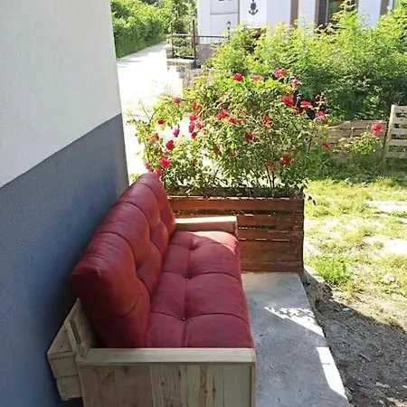 Petek * Trabzon