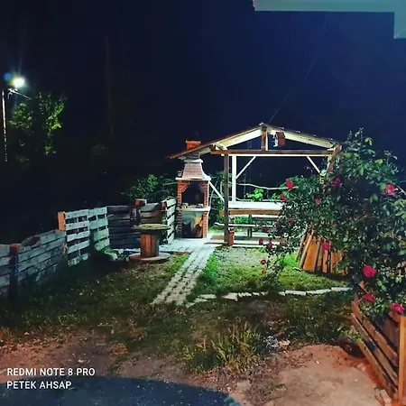Petek * Trabzon