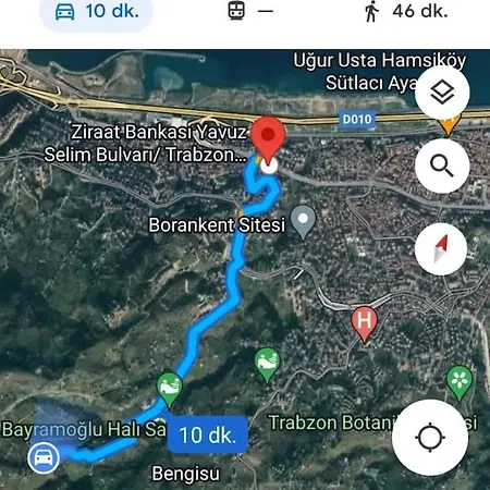 Petek * Trabzon