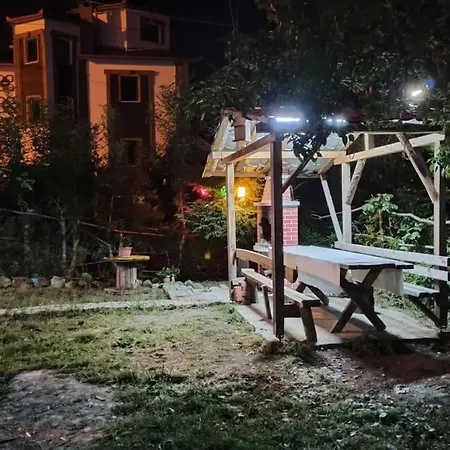 Petek * Trabzon