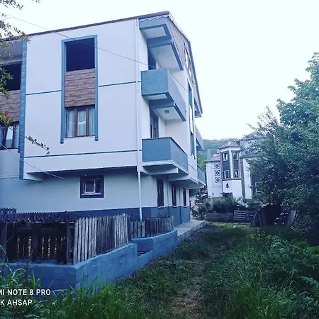 Petek * Trabzon